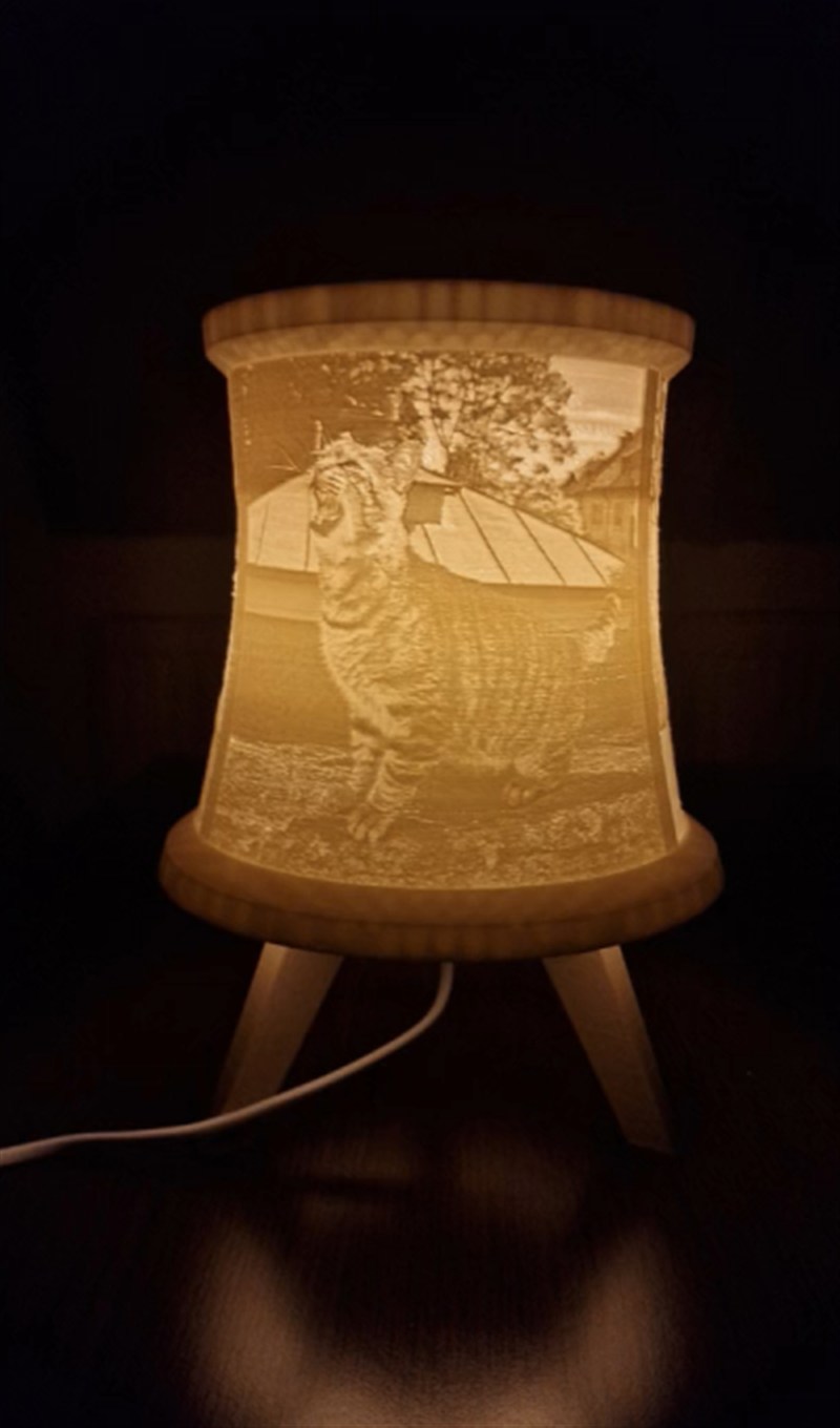 Lampă 3D personalizată realizată cu fotografia unei pisici